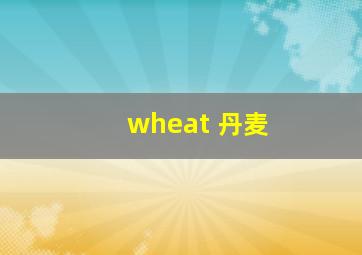 wheat 丹麦